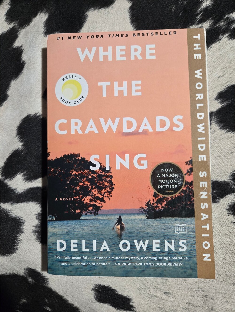 Where the Crawdads Sing by Delia Owens
